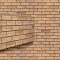 Фасадные панели VOX Solid Brick (Кирпич) Exeter  | Эксетер , фото 